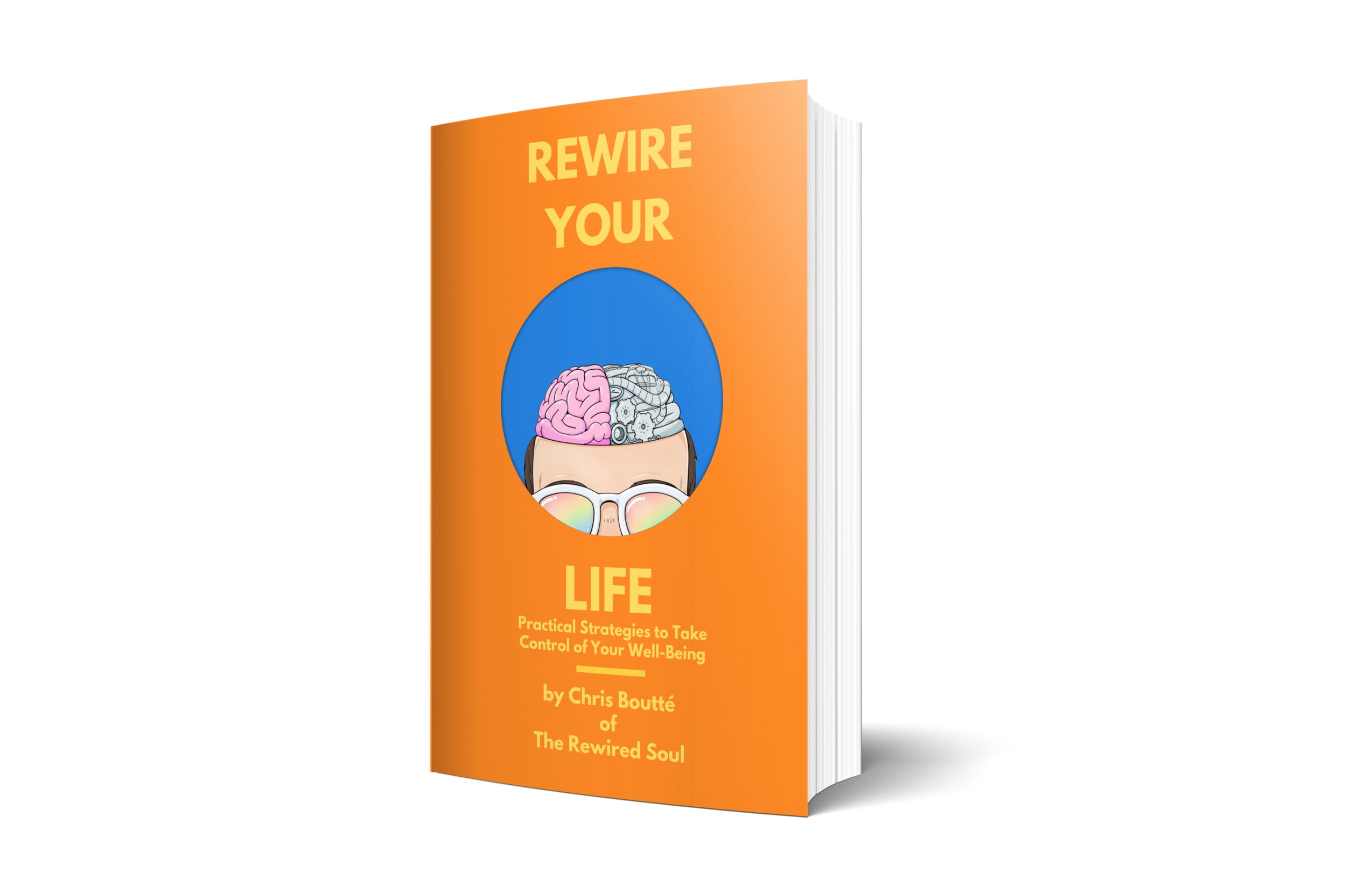 book cover.png